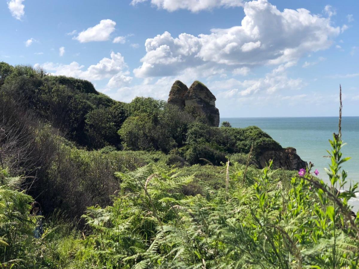Le Petit Clos Du Bessin Longues-sur-Mer 外观 照片